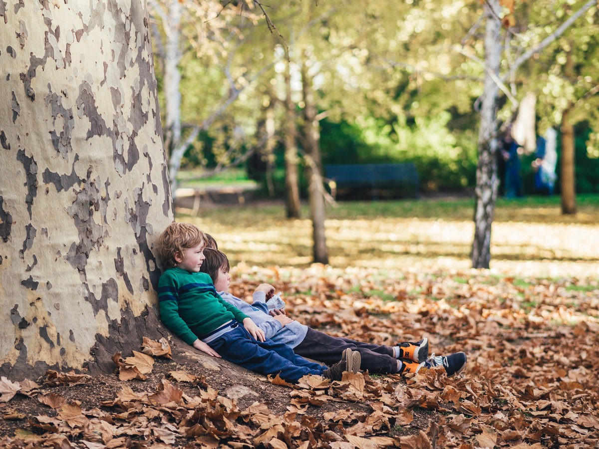children playing near tree