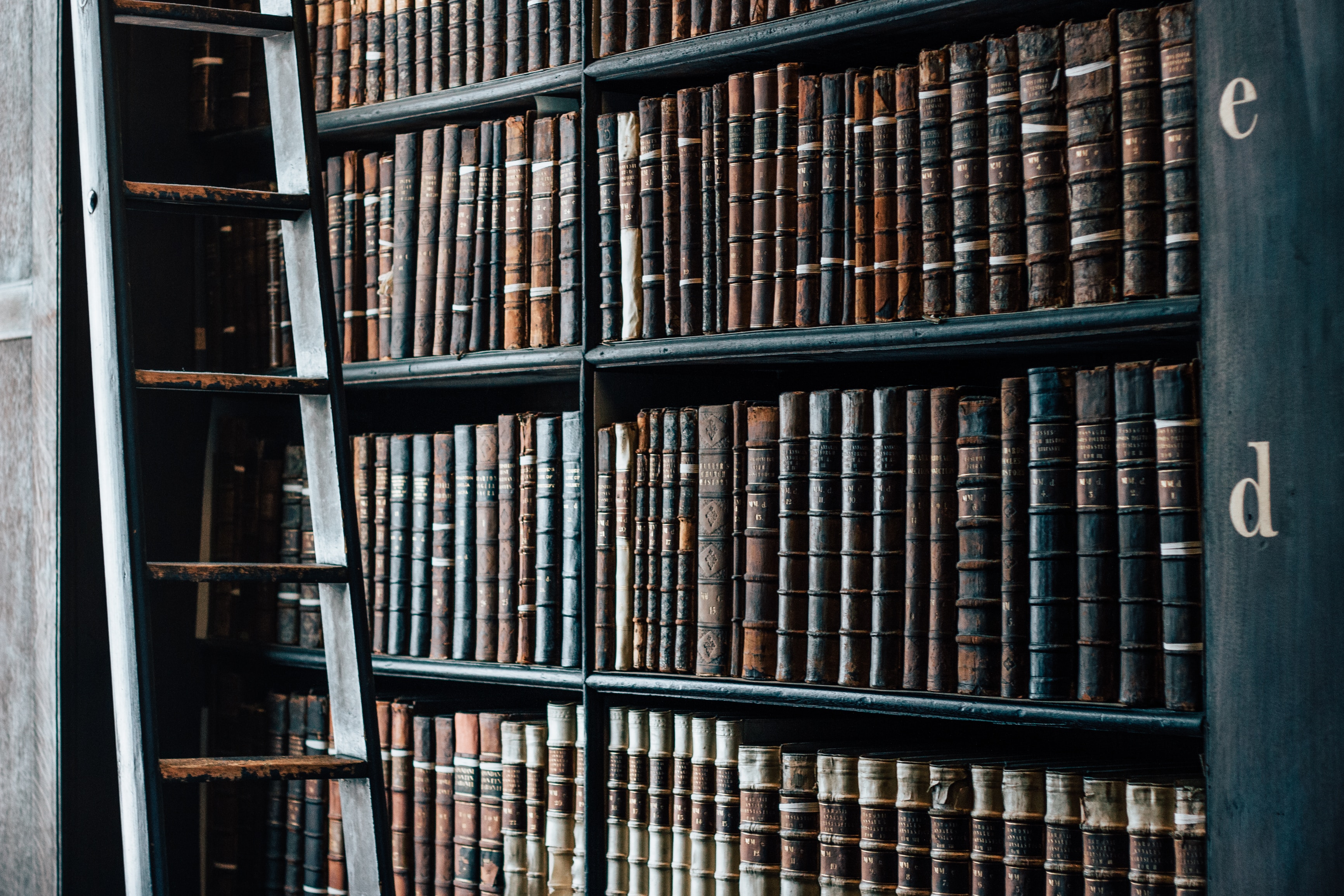Shelves of old books with a library ladder.