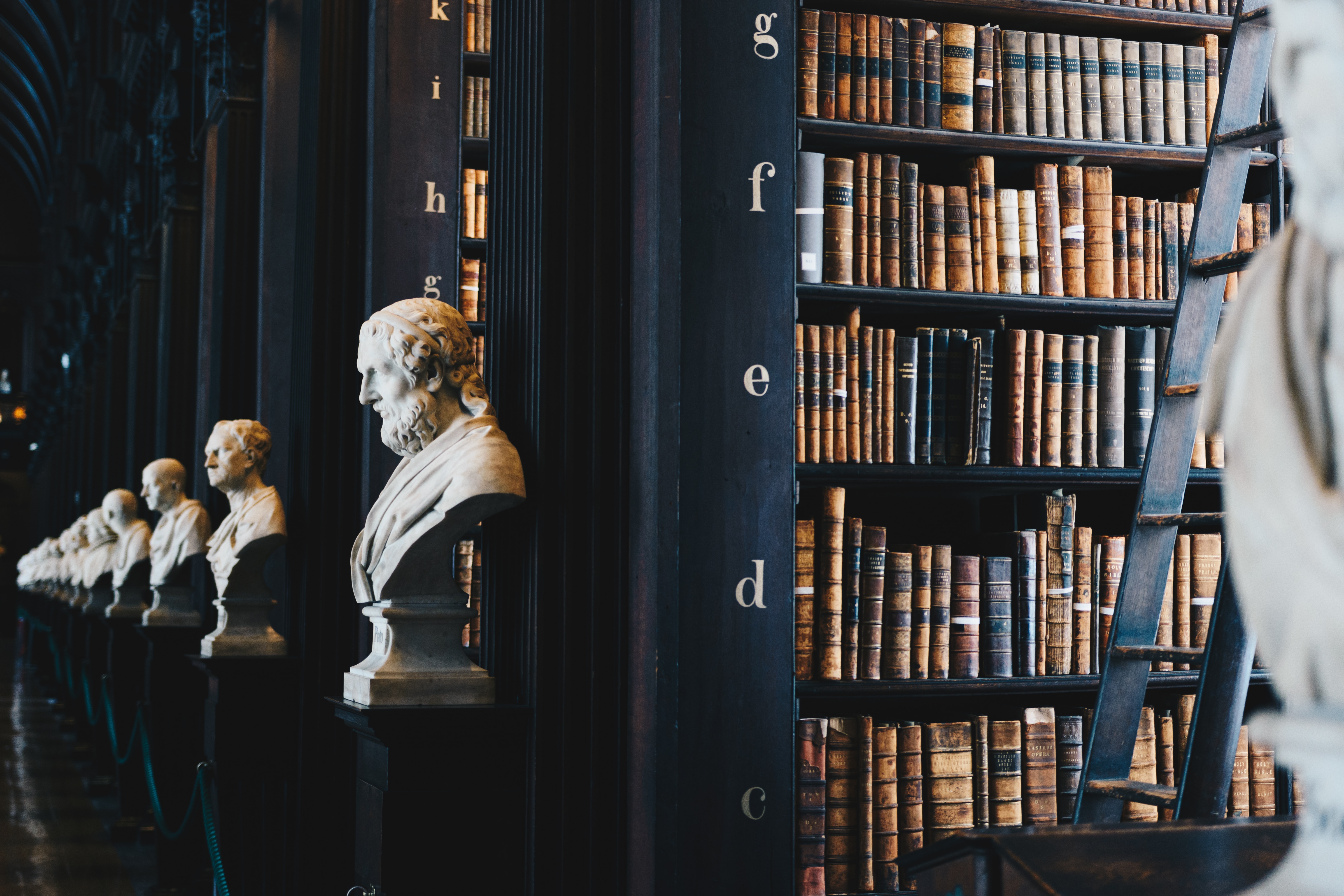 Sculpted busts beside library shelves and a ladder.