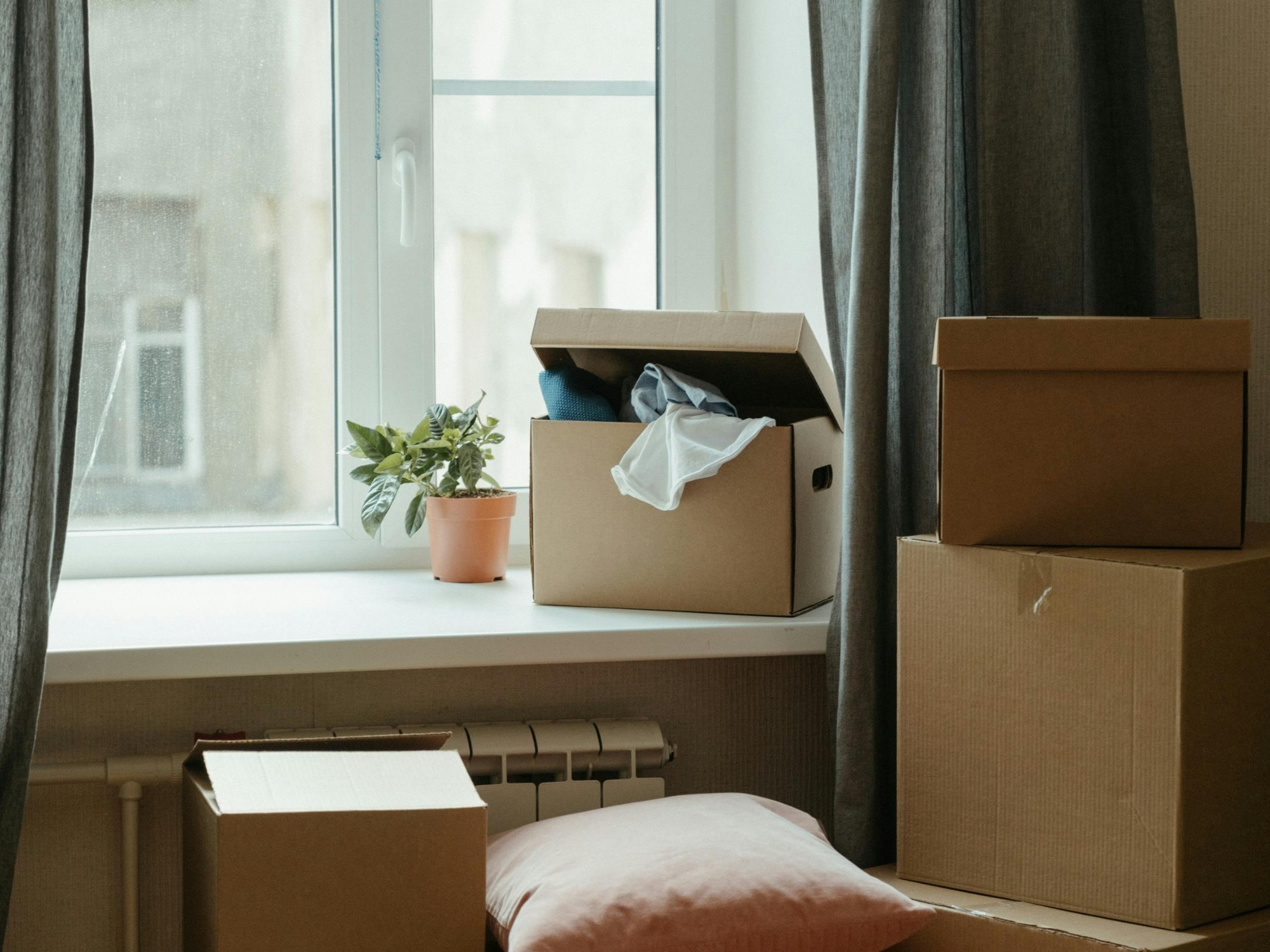 cajas de mudanza